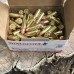 Winchester 9mm 115gr Fmj 100rds - Usa9mmvp